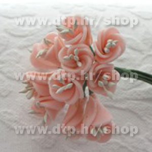 20135184 Vrtni zvončić roza 12kom