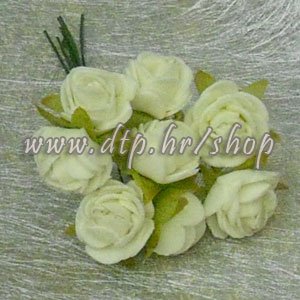 450286-1 Vrtna ruža šampanj