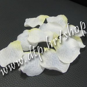 450301 Latice bijelo-žute cca144 kom