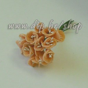 20135185 Vrtni zvončić breskva 12kom